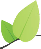leaflet icon